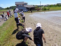 田植え体験（５年生）を開きます。