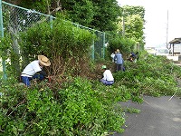 木の伐採を開きます。